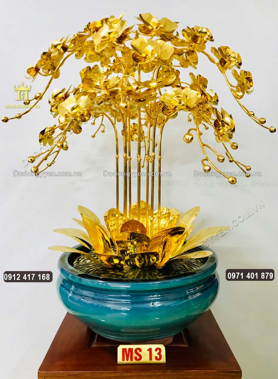Mẫu chậu hoa Lan 13
